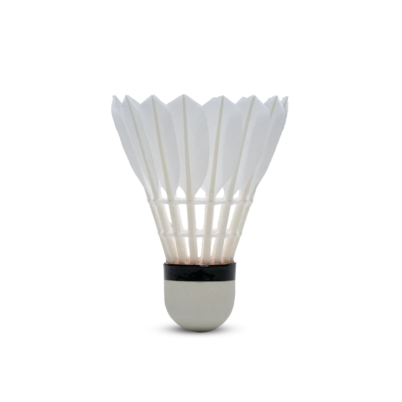 HUNDRED F8 FEATHER SHUTTLECOCKS (10 Pcs)