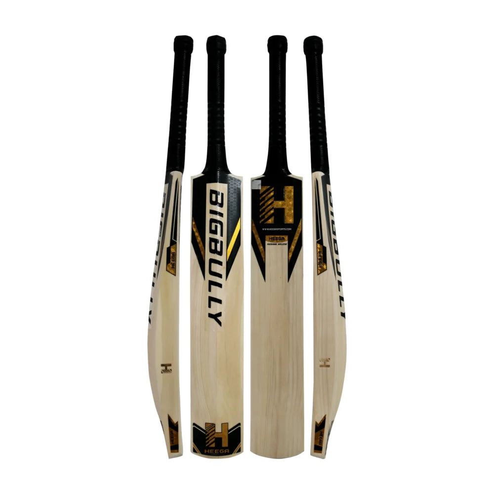 Heega Kashmir Willow Bigbully Cricket Bat