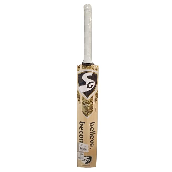 SG HP PUNCH CRICKET BAT