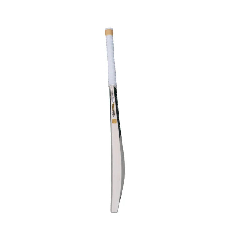 VERSANT "PRO DG"