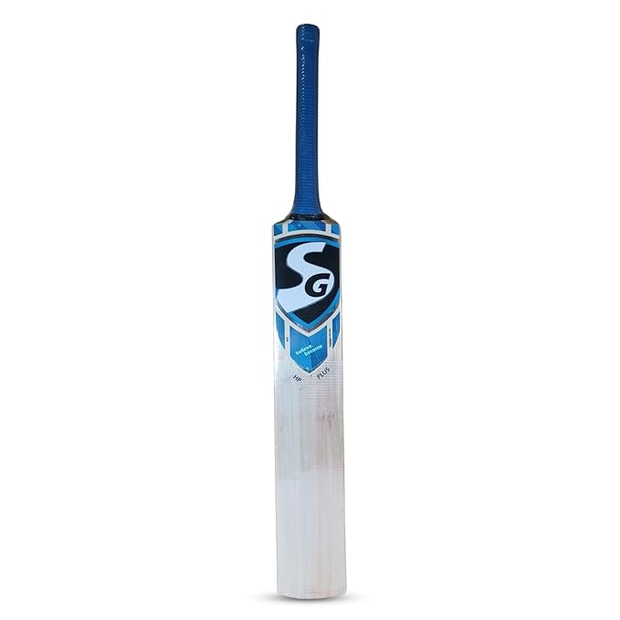 SG HP Plus Kashmir Willow Cricket Bat